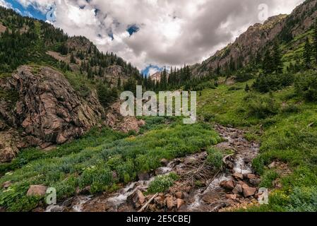 Bergbach in der Eagles Nest Wilderness, Colorado Stockfoto