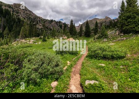 Trail in der Eagles Nest Wilderness, Colorado Stockfoto