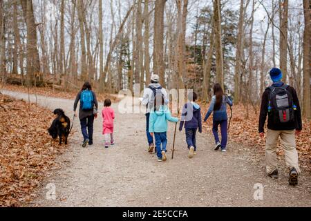 Eine ausgedehnte Familienwanderung mit Hund auf Schotter Weg durch den Wald Stockfoto