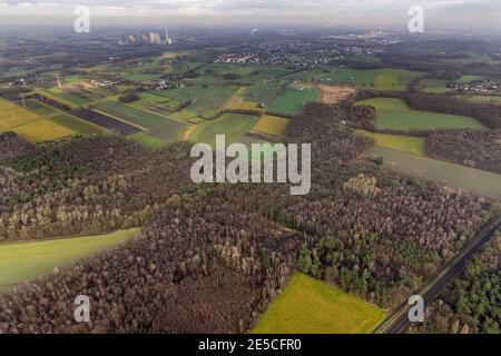 Luftbild Waldgebiet Sandbochumer Heide nahe Kerstheider Straße in Hamm, Ruhrgebiet, Nordrhein-Westfalen, Deutschland, Brachfläche, DE, Europa, Hamm, L Stockfoto