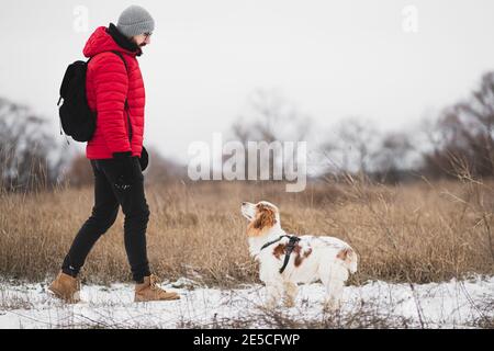 Mann zu Fuß mit Hund im Freien im Winter Natur. Wandern und Trekking mit Haustieren: Junge kaukasische Erwachsene mit Spaniel Hund in schneebedeckten Wiese Stockfoto