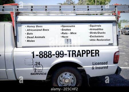 Trapper / Exterminator LKW Key West, Florida, FL USA. Südlichster Punkt in den kontinentalen USA. Insel Urlaubsziel für entspannten Tourismus. Stockfoto