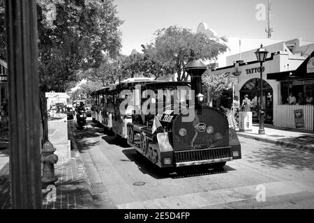 Conch Tour Train, unterhaltsame Besucher seit 1958. Kein Key West Urlaub ist komplett ohne die World Famous Conch Train Tour zu buchen. Key West, Florida Stockfoto