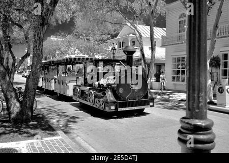 Conch Tour Train, unterhaltsame Besucher seit 1958. Kein Key West Urlaub ist komplett ohne die World Famous Conch Train Tour zu buchen. Key West, Florida Stockfoto