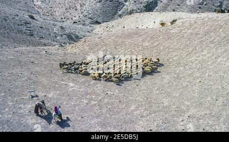 Luftaufnahme Schafe und Ziegen Judaean Desert Israel Stockfoto