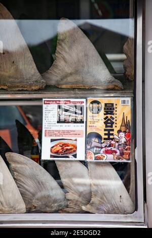 Haifischflossen im Fenster eines Restaurants im Zentrum von Bangkok, Thailand. Stockfoto