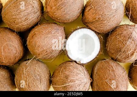 Muster, Textur mit Kokosnüssen auf weißem Hintergrund. Tropischer abstrakter Hintergrund. Flach liegend, Draufsicht. Stockfoto