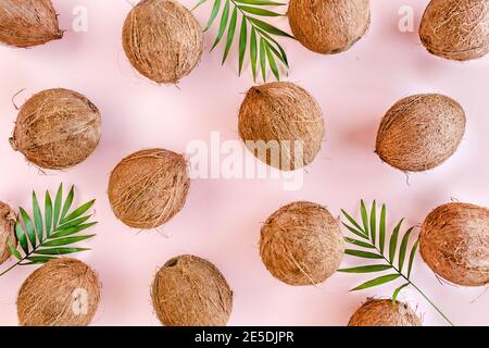 Muster, Textur mit Kokosnüssen und tropischen Palmenblättern auf rosa Hintergrund. Tropischer abstrakter Hintergrund. Flach liegend, Draufsicht. Stockfoto