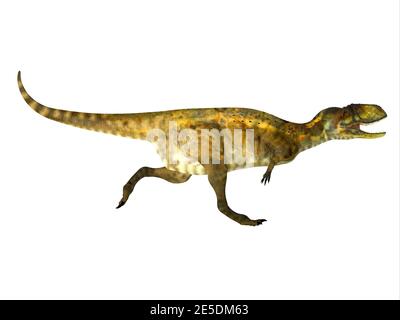 Abelisaurus war ein theropod fleischfressender Dinosaurier, der während der Kreidezeit von Argentinien lebte. Stockfoto