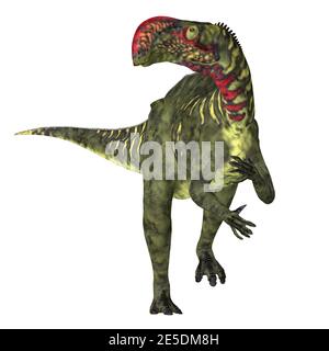 Altirhinus war ein Duck-billed iguanodon pflanzenfressenden Dinosaurier, der in der Mongolei während der Kreidezeit lebte. Stockfoto