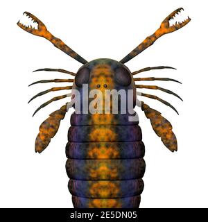 Pterygotus Seeskorpion war ein fleischfressender Meeresfisch, der in den Meeren der Paläozoikum-Ära lebte. Stockfoto