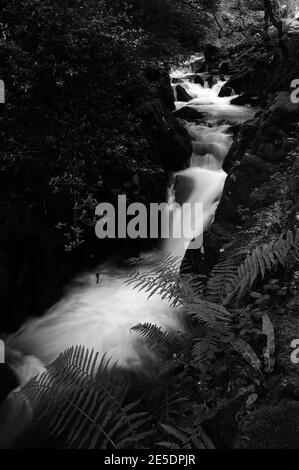 Afon Hwch in Ceunant Mawr, Llanberis. Stockfoto