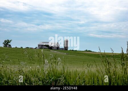 Scheune und Silo auf einem Hügel mit grünem Weizenfeld Im Vordergrund und blauer Himmel mit Wolken Stockfoto