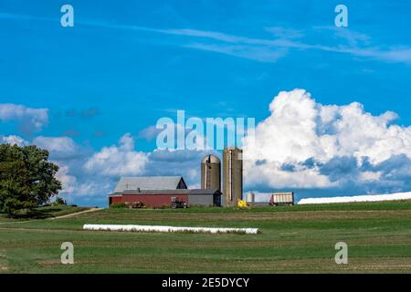 Scheunen und Silos mit einem Milchviehbetrieb auf einem Hügel mit emerginig Mais im Feld und blauen Himmel und Wolken Stockfoto