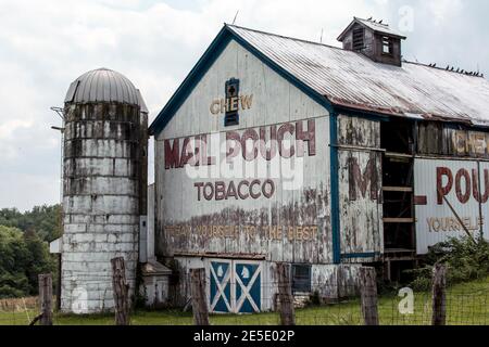 Verblasste Mail Pouch Tabak ad gemalt auf einer alten Scheune in ländlichen Ohio Stockfoto