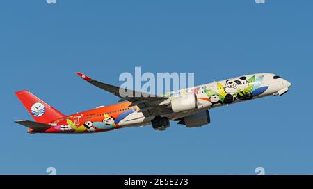 Ein Sichuan Airlines Airbus A350-900 Jetliner (B-301D) in spezieller Panda-Lackierung, nach Abflug vom Vancouver International Airport in der Luft. Stockfoto