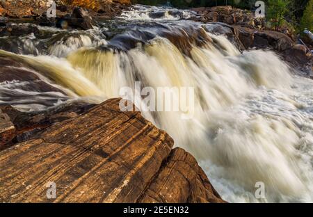 Muskoka County Conservation Area Ontario Kanada Stockfoto