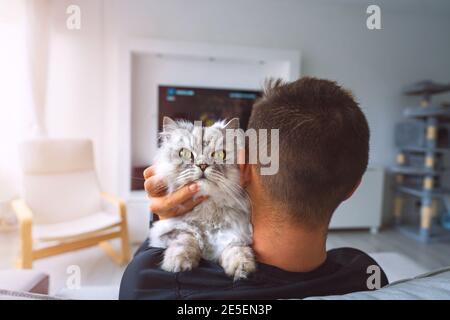 Haustier mit Eigentümer. Junger Mann, der sich mit seiner schönen Katze auf der Schulter im Wohnzimmer ausruhte. Häusliches Leben mit Haustier zu Hause. Stockfoto