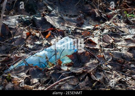 Plastikflasche im Wald zurückgelassen Stockfoto