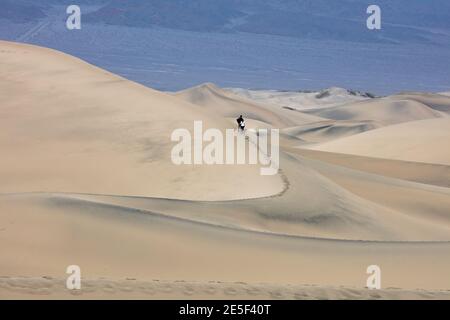 2 Personen wandern, Mesquite Flat Sand Dunes, Death Valley National Park, Kalifornien Stockfoto