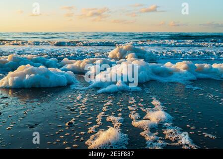 Wunderschönes Meer, Sandstrand, Meeresboden und klarer blauer Himmel bei Sonnenuntergang. Wilder Strand des Ochotsker Meeres, Insel Sachalin, Russland. Natürlicher Hintergrund. Stockfoto