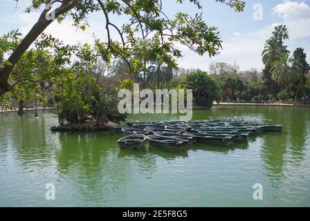 Bootfahren im Park Parc de la Ciutadella, Barcelona, Katalonien, Spanien. Stockfoto