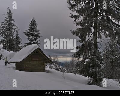 Friedliche Winterlandschaft mit hölzernen verschneiten Schuppen im Niedergebirge Schwarzwald am bewölkten Tag mit gefrorenen Bäumen. Stockfoto