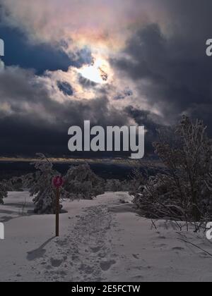 Atemberaubende Winterlandschaft im Schwarzwald Berge mit Schneeschuhwanderweg umgeben von gefrorenen Bäumen und Sonne scheint durch die Wolken. Stockfoto