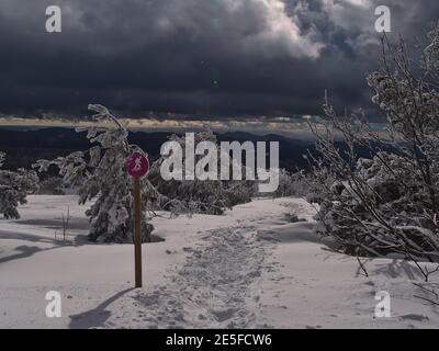 Schöne Winterlandschaft mit Schneeschuhwanderweg, Wegmarkierung Schild und schneebedeckten gefrorenen Bäumen in Schwarzwald Berge mit Schneeflocken. Stockfoto