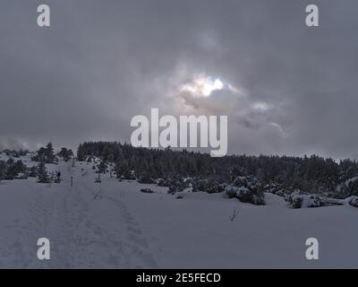 Schöne Winterlandschaft mit Wanderweg in tiefem Schnee und Wald von schneebedeckten Nadelbäumen auf dem Schliffkopf, Schwarzwald, Deutschland. Stockfoto