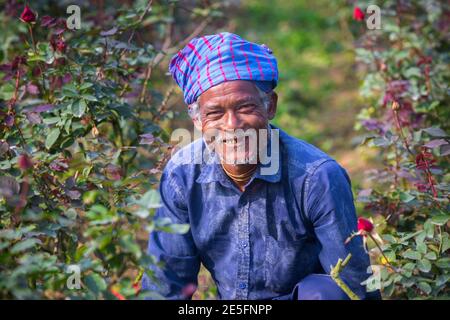 Bangladesch – 06. Februar 2020: Ein lächelndes Porträt eines Rosenblüten-Bauern in Savar, Dhaka. Stockfoto