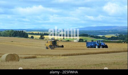 New Holland Kombinieren Sie Ernteernten, Guildtown, Perthshire, Schottland Stockfoto
