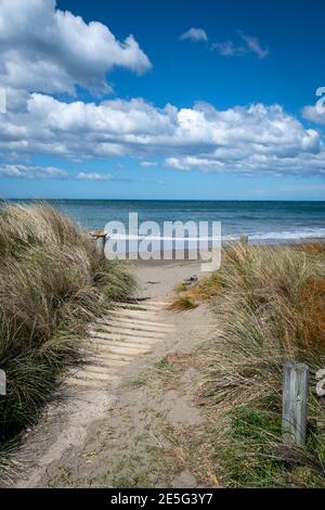 Pfad durch Dünen zum Strand bei Akitio, Tararua District, Nordinsel, Neuseeland Stockfoto