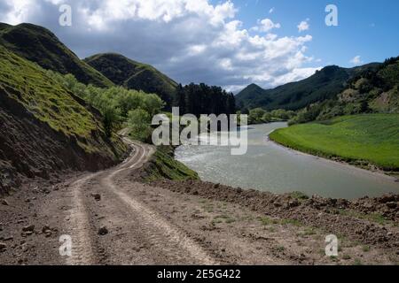 Kurvige Schotterstraße durch Ackerland auf Hügeln, Akitio, Tararua District, Nordinsel, Neuseeland Stockfoto