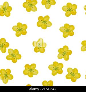 Nahtloses handgezeichnetes Aquarell-Muster mit gelbem Ranunkelchen, grüne Wildkräuter Blüten Blätter im Waldwald. Bio-Naturpflanzen, florales botanisches Design für Tapeten textile Hochzeitseinladung Stockfoto