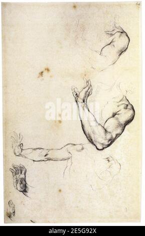 Michelangelo - Studie von Adam, 1508-09. Stockfoto
