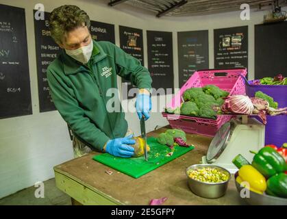 Zoo bittet um Hilfe bei den Einkaufskosten für Londons wildeste Veggie-Liebhaber, da Veganuary zu Ende geht. Es kostet £1 Million pro Monat, um die 20.000 Tiere in London und Whipsnade Zoos zu füttern und zu pflegen, Das ist eine Menge Geld, da die Tore für die Öffentlichkeit wegen der Sperre geschlossen sind. Kathryn England, Chief Officer des ZSL London Zoos, sagte: "Wir rufen die Öffentlichkeit erneut auf, unsere fortgesetzte Tierpflege während dieser dritten Sperre zu unterstützen - unsere Spendenaktion, die von Sir David Attenborough ins Leben gerufen wurde, ist bei www.zsl.org/donate und die Menschen können jede Menge beitragen, um zu helfen ... Stockfoto