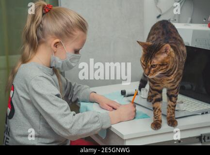 Mädchen und ihre Katze lernen, ein Kleid anzunähen Ein Laptop zu Hause DIY beobachten Anleitungsvideos auf einem Notebook Stockfoto