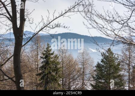 Winter neblige Landschaft der Beskid Berge in der Nähe von Krynica Zdroj in Polen Stockfoto