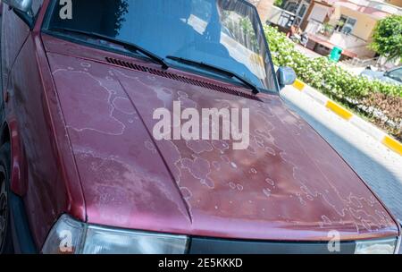 Alte Autolack durch die Seife, Sonne und Feuchtigkeit betroffen Stockfoto