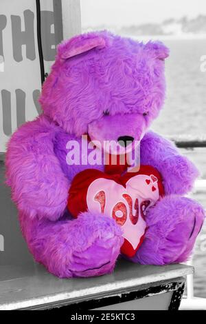 Purple Teddy Bear Holding Love Kissen traurig auf dem Messegelände Stand in Bournemouth, Dorset UK im April - allein zurückhaltend einsam forlorn Konzept Stockfoto