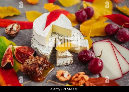 Geschmackmotive und Stimmung. Set von Käse im Herbst Blätter mit Honig, Obst und Kräuter auf dunklen und grauen Stein Hintergrund Stockfoto