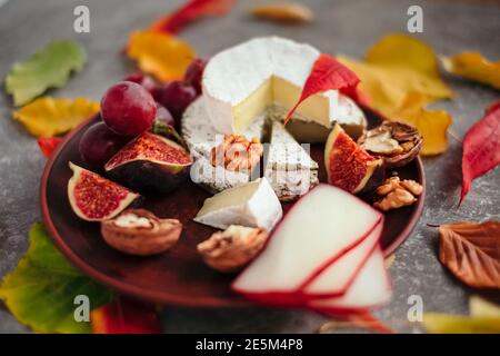 Geschmackmotive und Stimmung. Set von Käse im Herbst Blätter mit Honig, Obst und Kräuter auf dunklen und grauen Stein Hintergrund Stockfoto