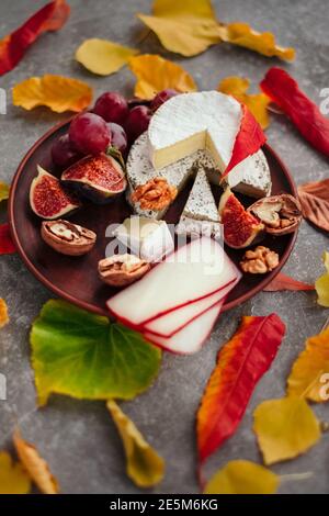 Geschmackmotive und Stimmung. Set von Käse im Herbst Blätter mit Honig, Obst und Kräuter auf dunklen und grauen Stein Hintergrund Stockfoto