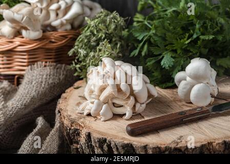 Rohe Austernpilze mit Messer am Querschnitt des großen alten Baumes auf einem rustikalen Tisch. Korb mit Pilzen und frischen Kräutern im Hintergrund. Stockfoto
