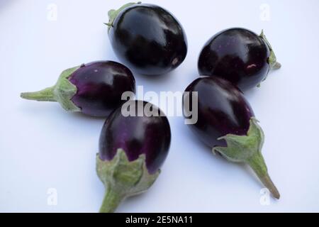 Brinjal (Baingan) auch als Auberginen oder Auberginen botanischen Namen bekannt Von brinjal ist Solanum melongeana Stockfoto