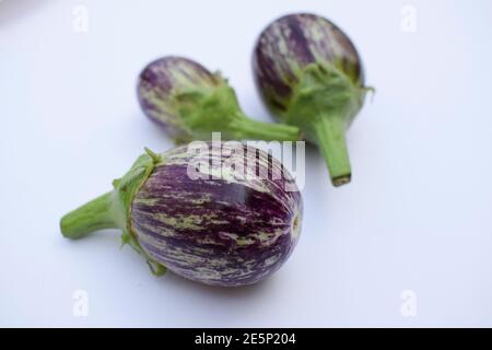Brinjals, Auberginen oder Auberginen frisches indisches Gemüse oder Obst. Violett violett gefärbt mit weißen Streifen, runde oder kugelförmige Auberginen-Isol Stockfoto