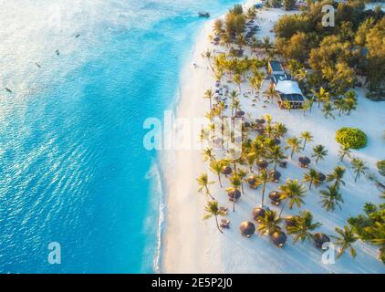 Luftaufnahme von Schirme, grüne Palmen am Sandstrand Stockfoto