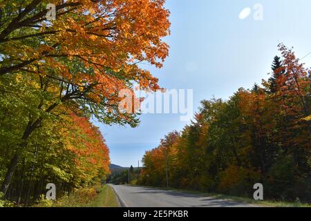 La Route de l'église en automne, Sainte-Apolline, Québec Stockfoto