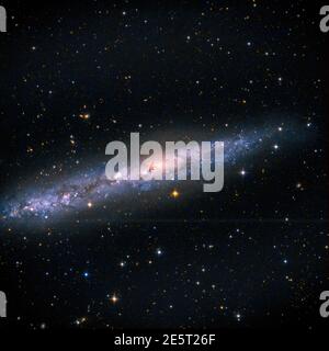 Astrofotografie - NGC 55 - Walgalaxie Stockfoto